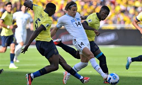 Win Bet Daily: Strategies for Consistent Wins